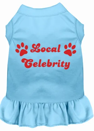 Local Celebrity Screen Print Dress Baby Blue Xxxl
