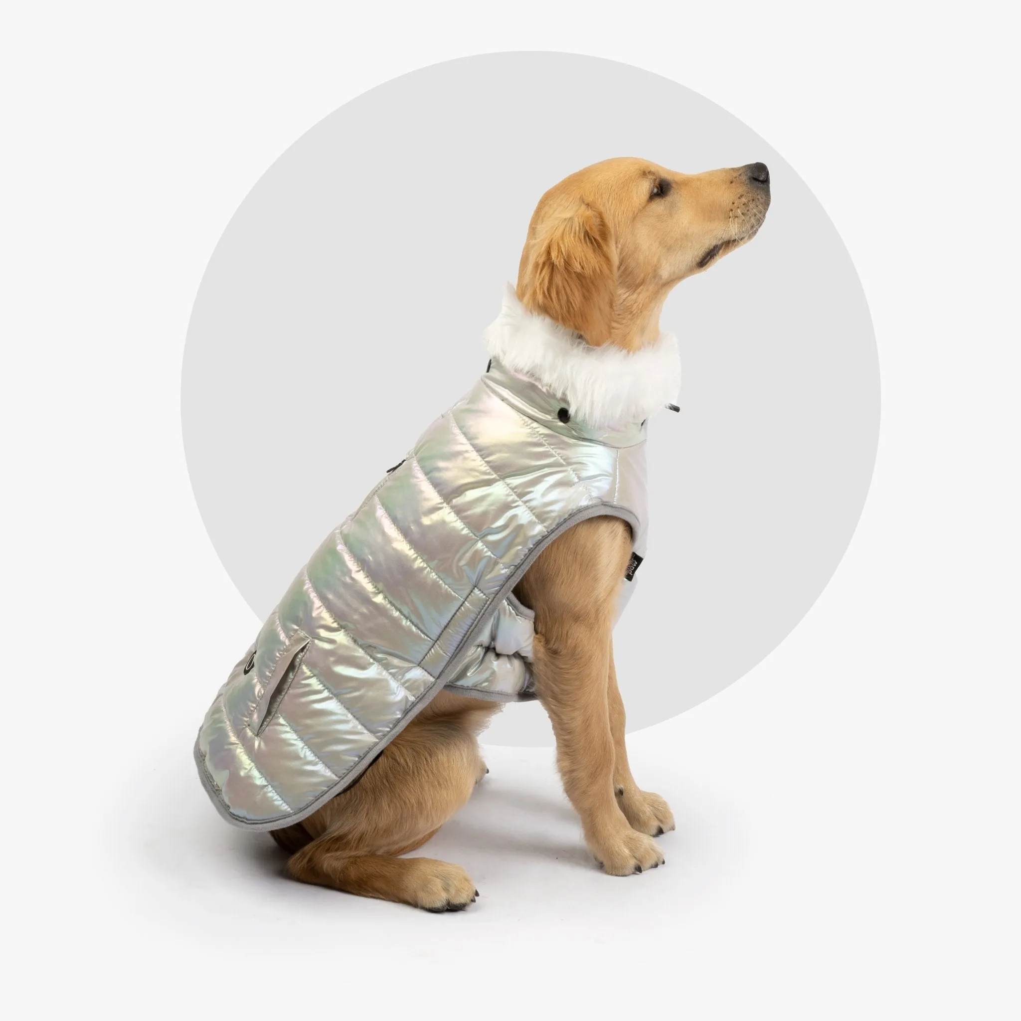 Nikka Iridescent Dog Jacket | Warm, Stylish & Leash-Friendly with Poop Bag Dispenser